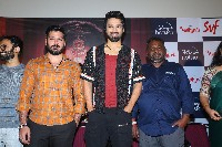 Vadhuvu Movie Press Meet